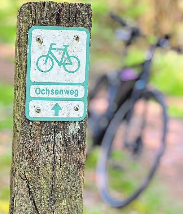 Der Ochsenweg ist seit 1998 als Radstrecke ausgewiesen. Seitdem wurde nicht allzu viel in die Instandsetzung investiert.