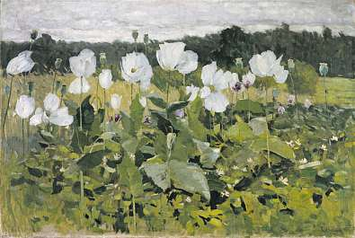 Bild links: Karl Hagemeister: Weißer Mohn (1881) Landesmuseum Hannover