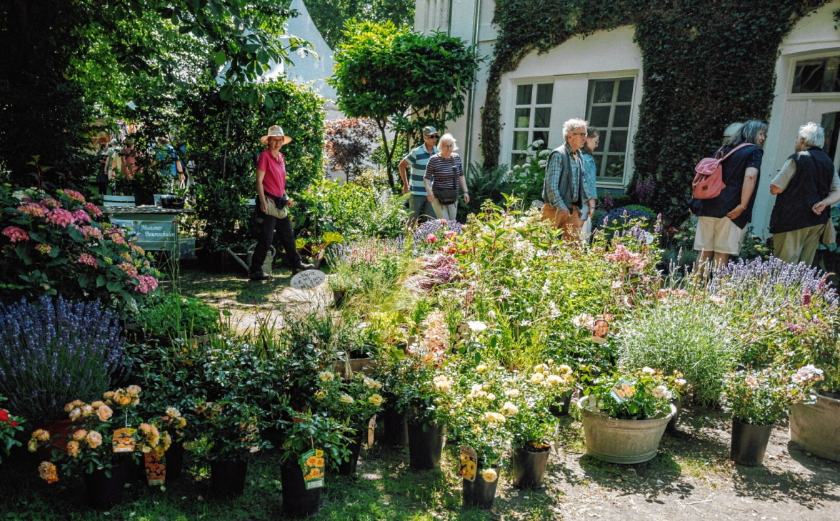 Auch die Garten- und Pflanzenfreunde kommen auf dem Hoffest auf ihre Kosten.