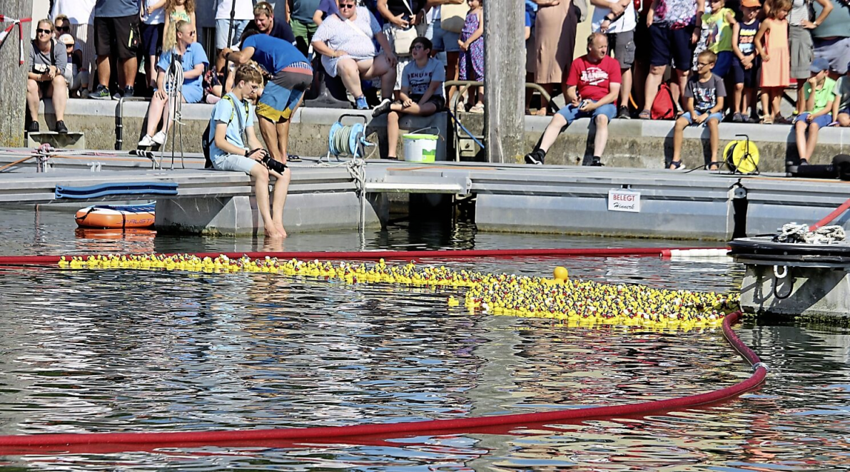 Spannendes Wettrennen: Das Föhrer Entenrennen. Foto: Föhr Tourismus GmbH/Pelle Motzke