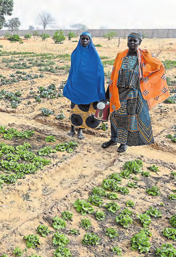 Ein großer Teil der Bevölkerung im Niger lebt von der Landwirtschaft. Weil Bewässerungsmöglichkeiten nur in geringem Umfang vorhanden sind, kommt es nach langen Trockenperioden immer wieder zu Hungersnöten. FOTO: IMAGO / JÖRG BÖTHLING
