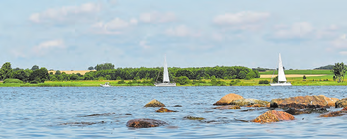 FOTO: ADOBESTOCK