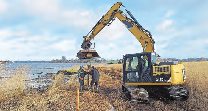 Holzpfähle werden während den Zaunbaumaßnahmen von einer Baufirma in den Boden gedrückt. Der Zaun umgibt eine verschilfte ehemalige Salzwiese, die wieder beweidet werden soll. FOTO: JAN BLANKE