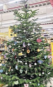 Foto: Futterhaus