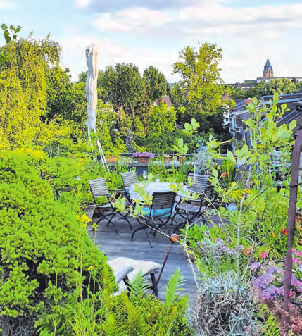 Das Dach als erweiterter Wohnraum, mit Pflanzen und Sitzmöglichkeiten unter freiem Himmel. FOTOS: BGL