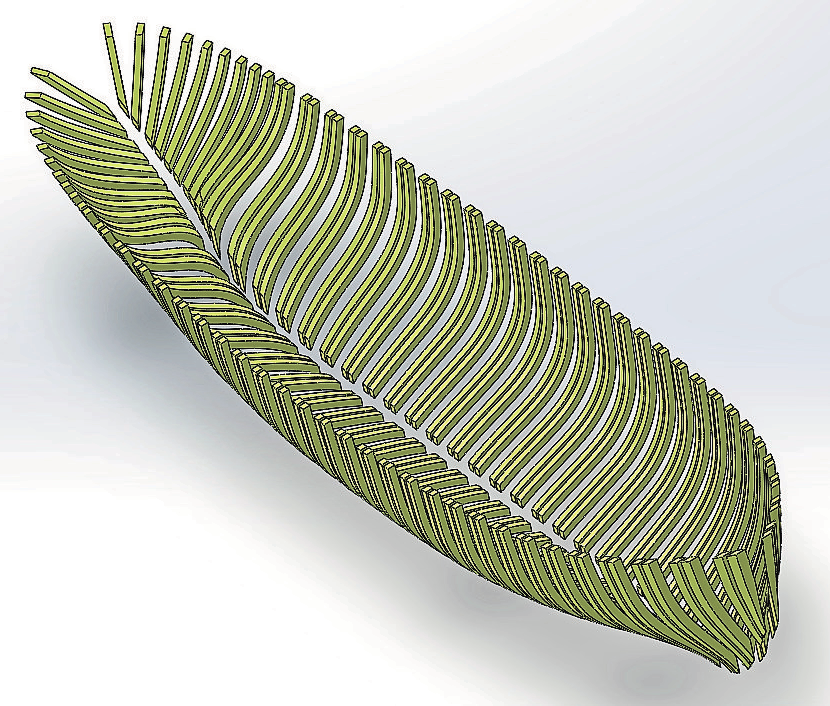 Traditionelle Schiffsbaukunst: Um die „Carmelan“ für die kommenden 100 Jahre wieder seetüchtig zu machen, musste das gesamte Holz des Rumpfes ausgetauscht werden. Diese 3D-Grafik lässt erahnen, wie aufwändig die Arbeiten waren. GRAFIK: ARNE MEINCKE