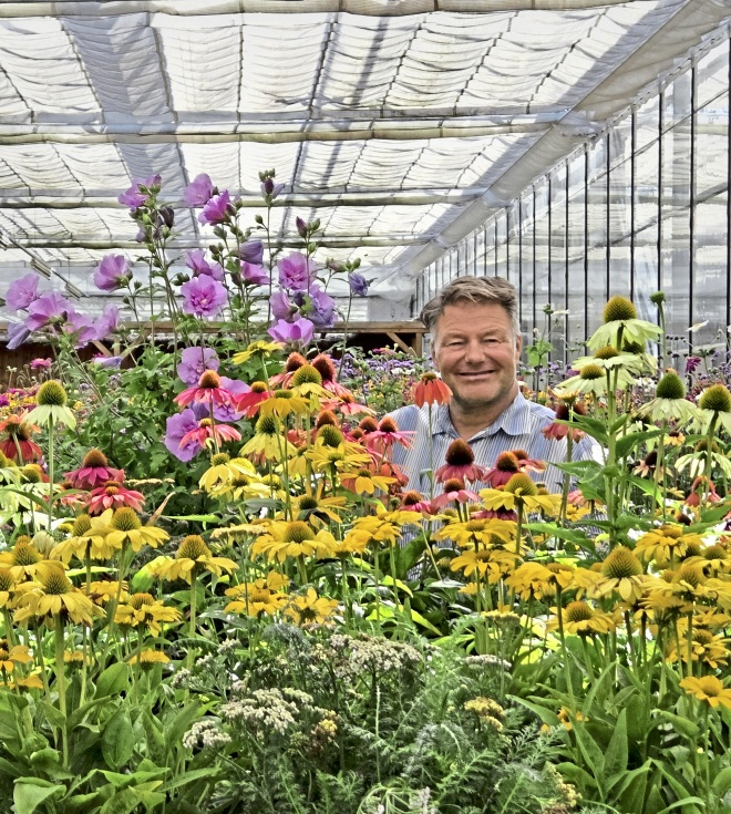 Inmitten eines Blütenmeers zeigt Jan Paulwitz einen blühenden Hibiskusstamm. Foto: Heike Norda