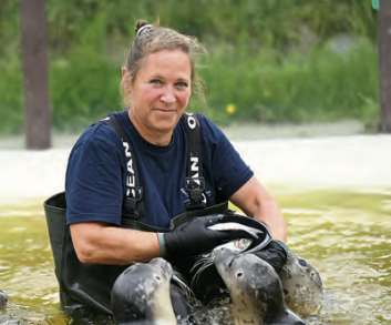 Aufpäppeln und dann wieder in die Freiheit: Tanja Rosenberger, Leiterin der Seehundstation Friedrichskoog, bereitet mit ihrem Team junge Seehunde in Friedrichskoog für das Leben in freier Wildbahn vor.