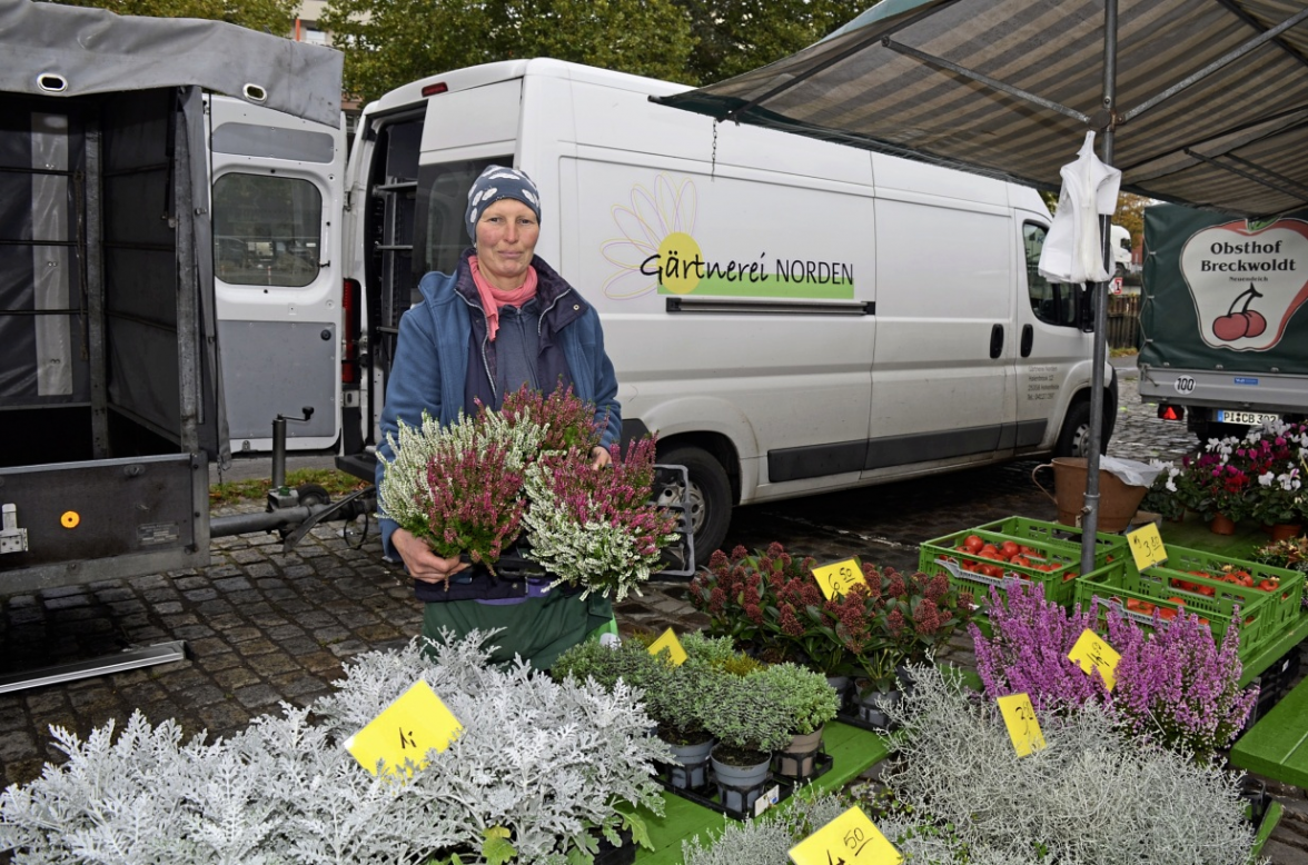 Birgit Maguhn von der Gärtnerei Norden hat Heide und herbstliche Pflanzen im Angebot.