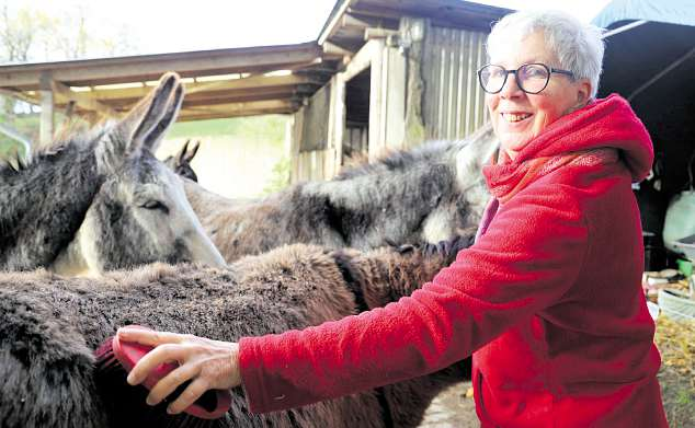 Sabine Rathmann zeigt den Teilnehmern der Eselwanderungen, wie sie beim Striegeln Kontakt zu den Tieren aufnehmen können.