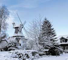 Der Riesebyer Mühlenverein und das DRK veranstalten in diesem Jahr zum ersten Mal einen Adventsmarkt an der Mühle Anna. Foto: Birte Sieland