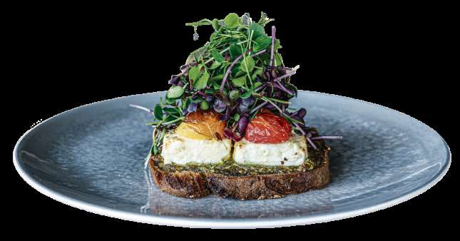 Heimatküche: Der gebackene Schafskäse auf Wurzelpesto ist kräftig, aromatisch, unkompliziert und überraschend elegant zugleich.