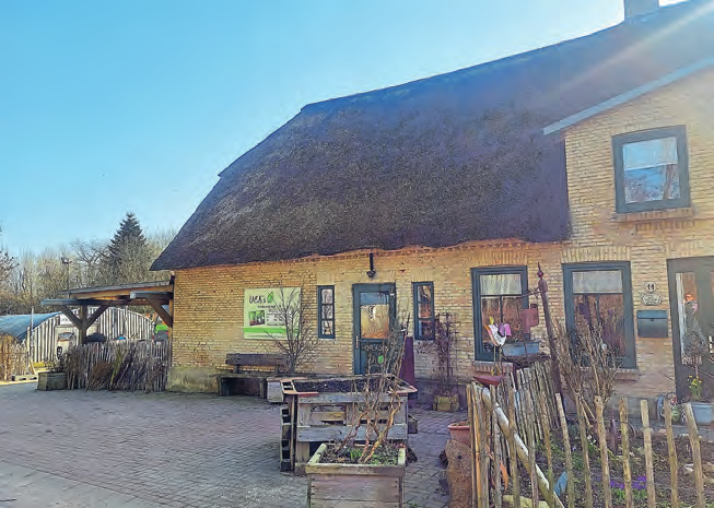 Frische Salate und Gemüse der Saison gibt es bei Uck's Mühlenhof.