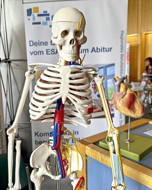 Auch „echte“ Mitarbeiter des Klinikums Itzehoe werden beim Late Night Jobbing anzutreffen sein.