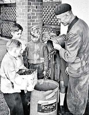 Mit gesammelten Kastanien oder Eicheln als Tierfutter besserten Kinder in den 60er-Jahre ihr Taschengeld auf.