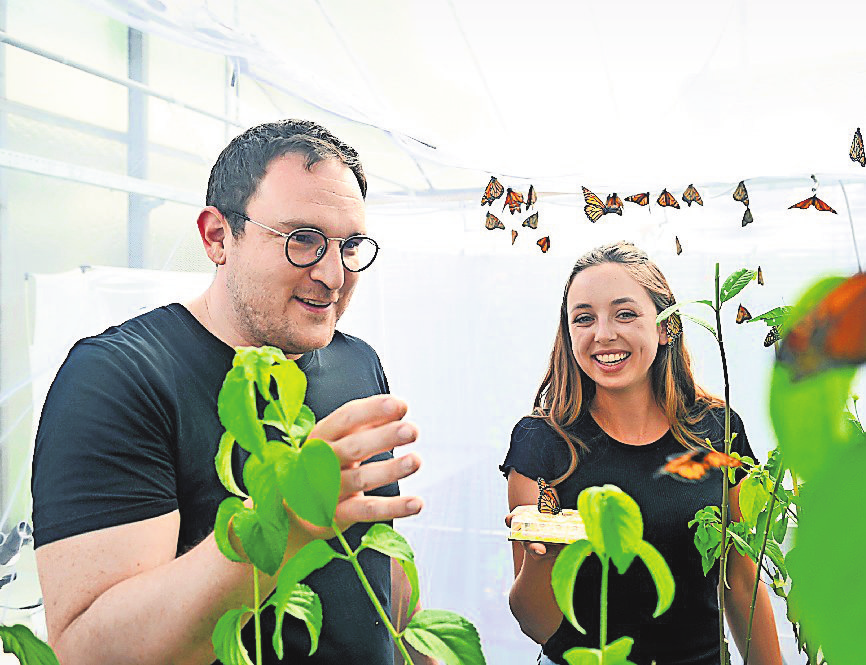 Die Universität Hohenheim bietet eine breite Vielfalt an Studiengängen: Insgesamt stehen 40 Bachelor- und Master-Studiengänge zur Auswahl. Fotos: Universität Hohenheim