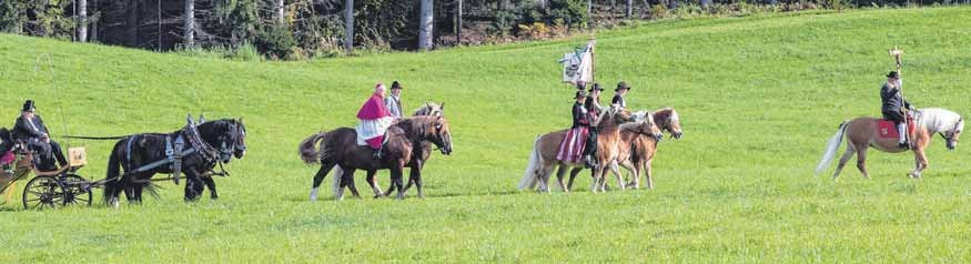 <span id="iv52o">Rund 150 Pferde reiten jährlich an die St. Wendelin Kapelle, um dort gesegnet zu werden. </span><span id="inyb9">FOTOS: C. FLEMMING</span>