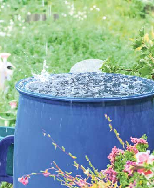 Wasser aus der Regentonne ist immer eine gute Idee, um Wasser und Kosten zu sparen. Foto: detry26/stock.adobe.com