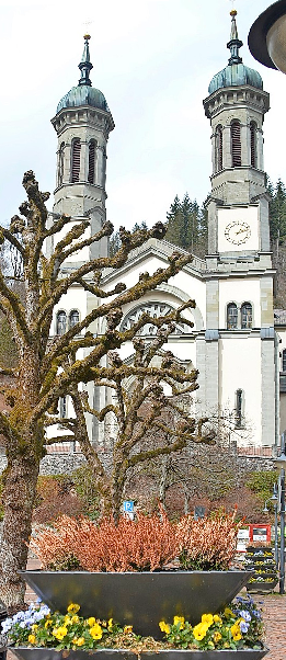 Frühlingserwachen in Todtnau