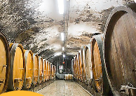 Holzfässer im Keller des Weinguts