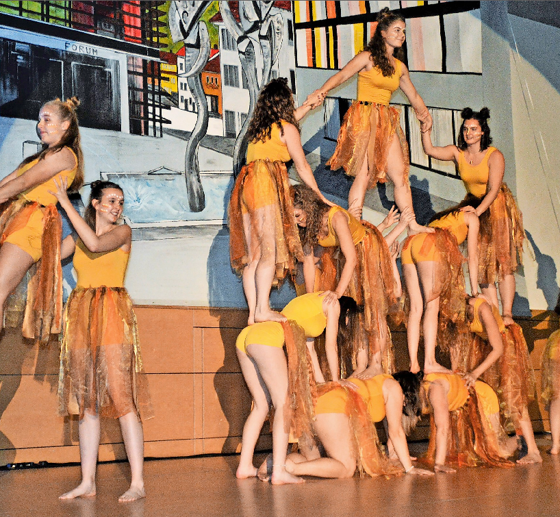 ...durch das mit Sketchen und Tänzen gespickte bunte Programm führen. FOTOS: EDGAR STEINFELDER