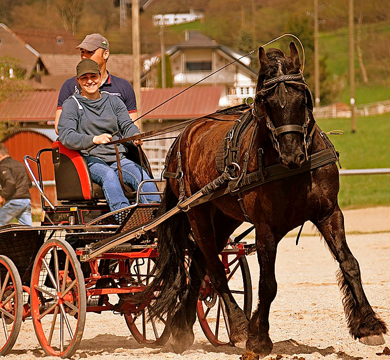 Einen spannenden Wettbewerb werden sich am morgigen Sonntag die Gespannfahrer liefern. FOTO: PRIVAT