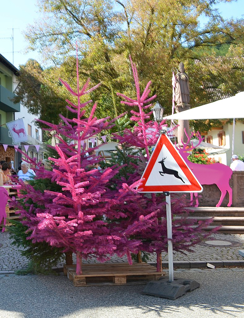 Vorsicht: In Elzach ist am Wochenende der Hirsch los. FOTOS: NIKOLAUS BAYER