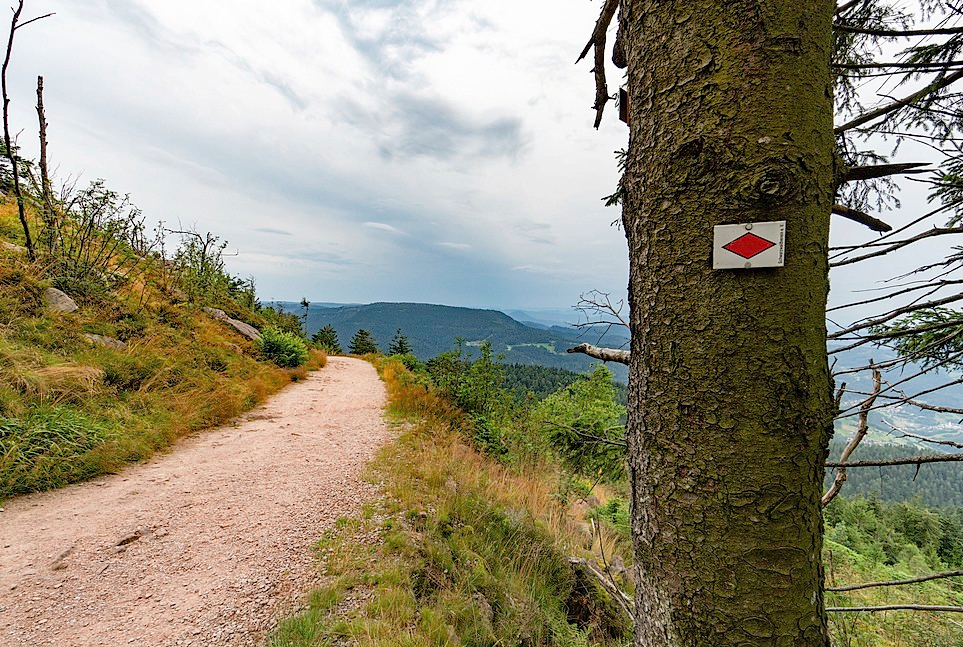 Wegund Markenzeichen ist die rote Raute auf weißem Grund.