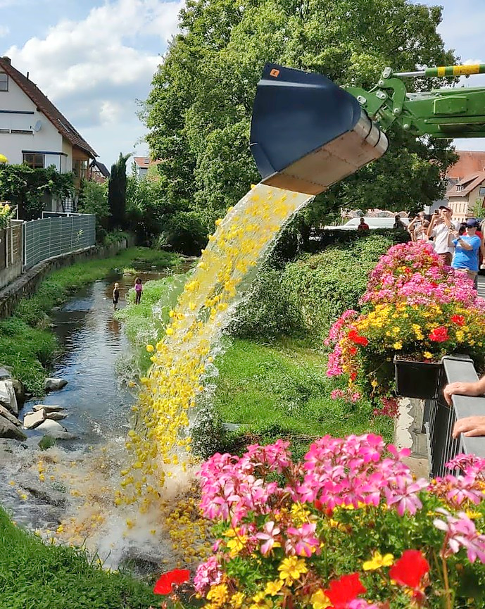 Die Enten werden in die Möhlin geschüttet.