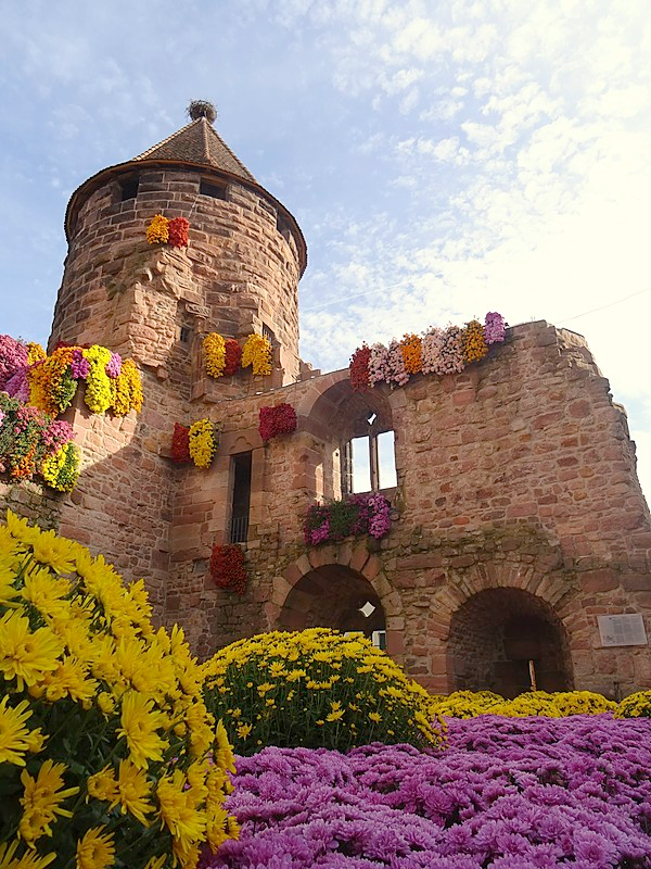 Immer ein Highlight: der Storchenturm