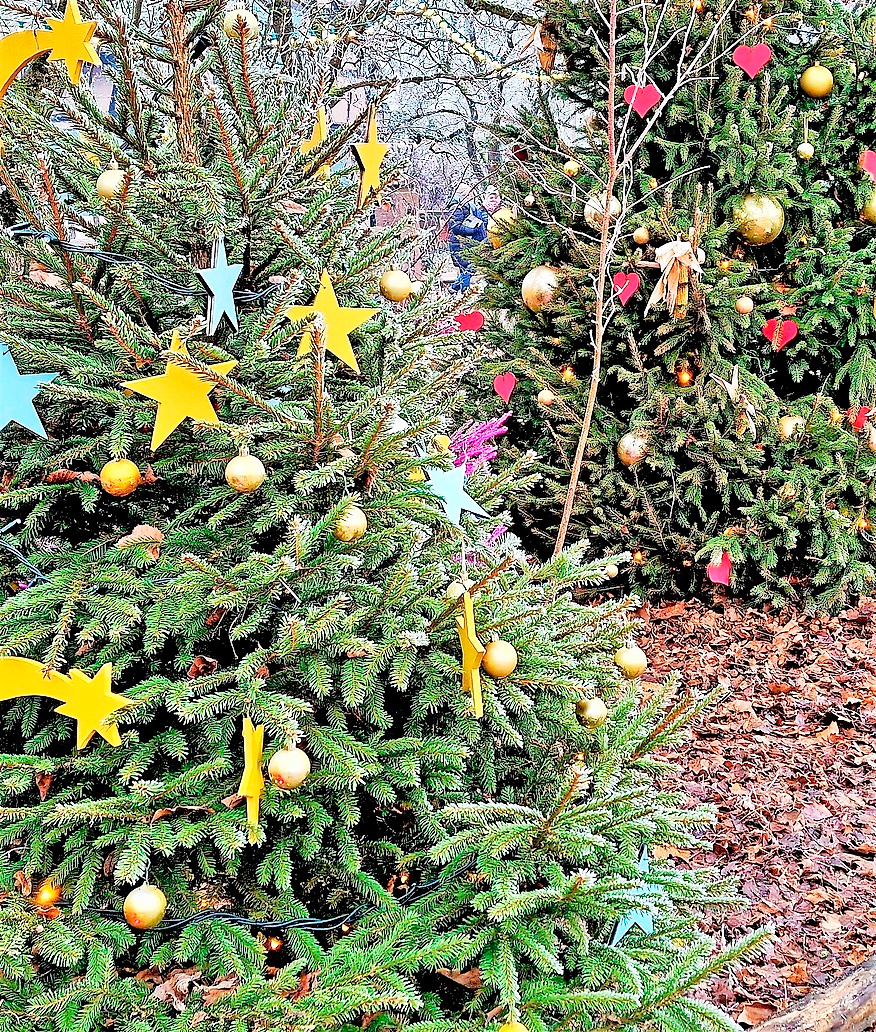 FOTOS: E. STEINFELDER