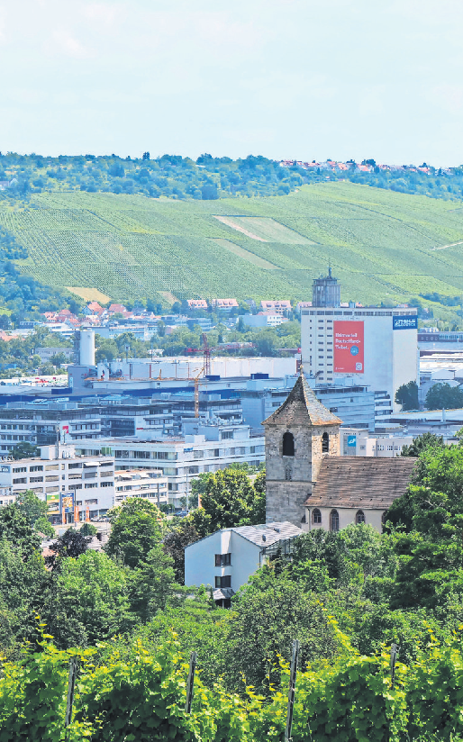 Aussicht von den Weinlagen am Wangener Berg zur Michaelskirche und übers Neckartal.
