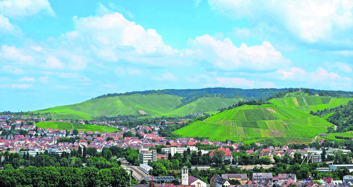 Blick auf Untertürkheim und seine Weinlagen wie Altenberg, Mönchberg und Schlossberg vom Wangener Berg aus gesehen. Foto: Brand