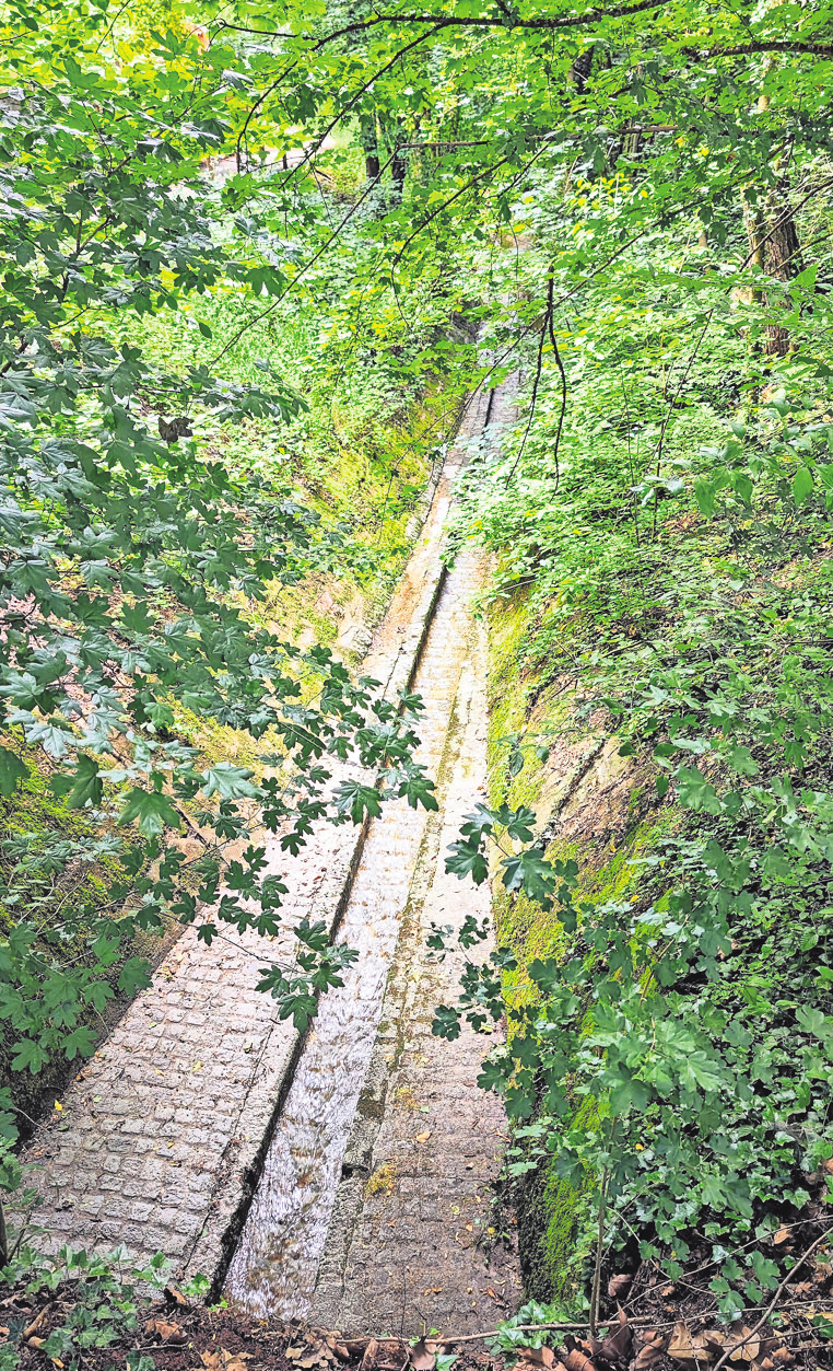 So sieht der Bußbach an seinem Unterlauf in Rohracker aus. Naturnah ist anders.