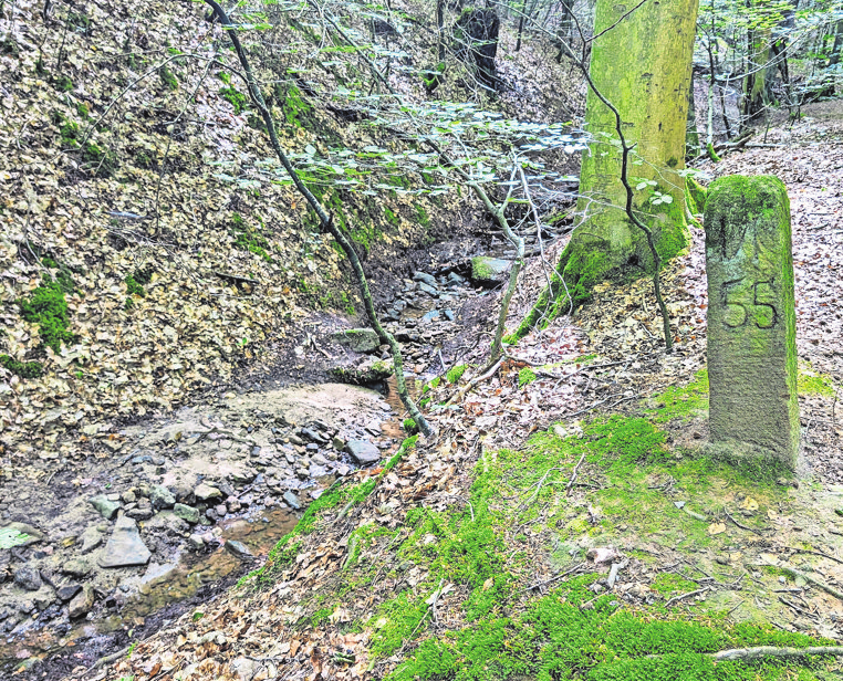 Der Grenzstein in der Dürrbach-Klinge markiert die Gemarkungsgrenze zwischen Wangen und Rohracker.