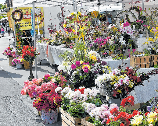 Besuchen Sie am Wochenende das Frühlingsfest in Neustadt an der Aisch! Es ist jeden Tag ein tolles und vielfältiges Programm geboten.