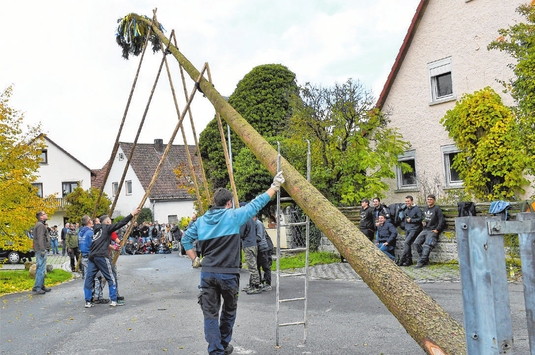 Am Samstagnachmittag stellen die Ortsburschen ihre Kerwafichte auf. Foto: Gudrun Schwarz-Köhler