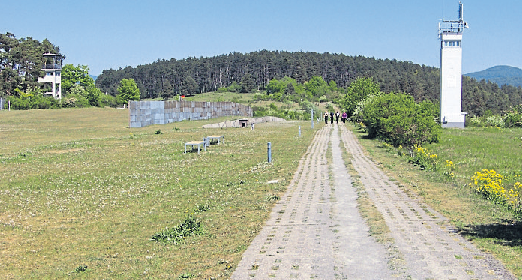 Das grüne Band ist auf der Vorschlagsliste zur Nominierung für die Kategorie Kultur- und Naturerbe. Foto: Point Alpha Stiftung