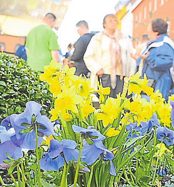 Der Frühling erwacht in Eiterfeld. Foto: Archiv