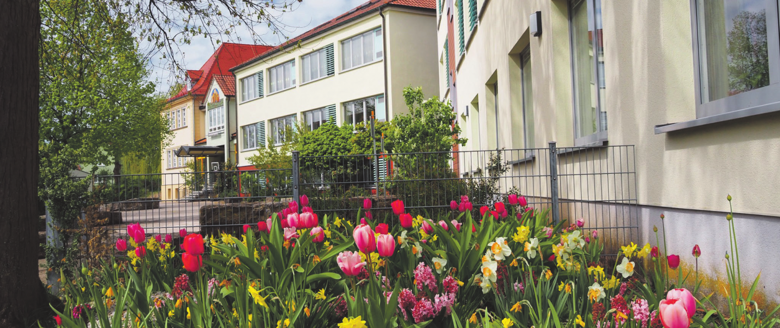 Beste Voraussetzungen haben Schüler der Grund- und Mittelschule Burgebrach.