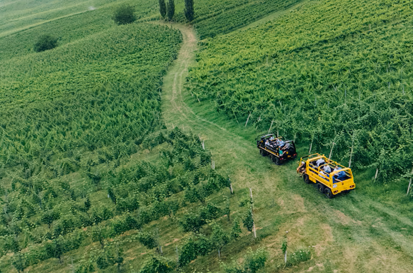 Mit dem Pinzgauer geht es durch die Rieden der Südsteiermark. Foto: Weingut Georgiberg/Sabine Doppelhofer