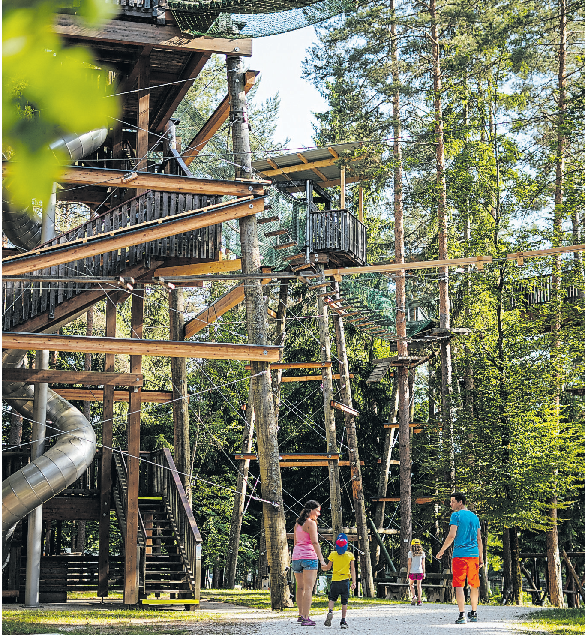 Die Walderlebniswelt verbindet Naturerlebnis und Freizeitspaß   Foto: Walderlebniswelt