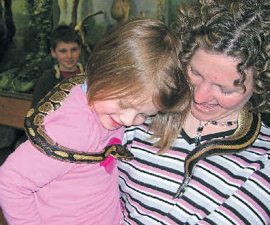 Der Reptilienzoo Happ beherbergt rund 60 verschiedene Arten von Schlangen.<br/>Foto: Reptilienzoo Happ