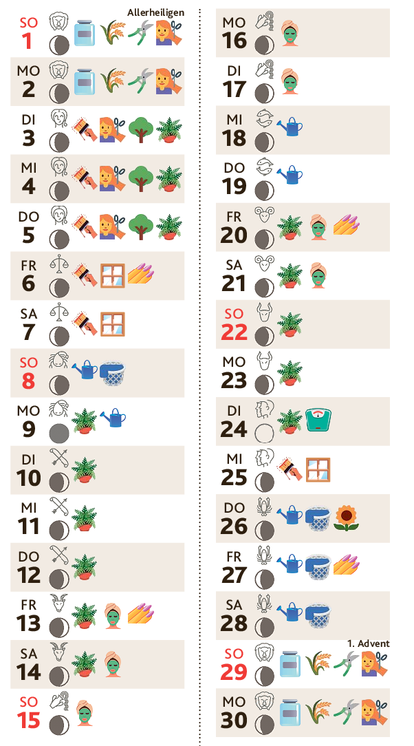 NOVEMBER