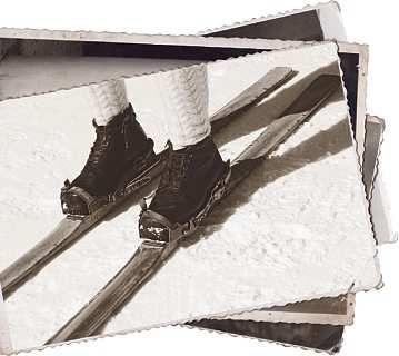 Foto: smuki - stock.adobe.com