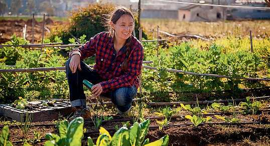 Vor der Haustür: Gesunder Boden durch Urban Gardening. Foto: sururu - stock.adobe.com