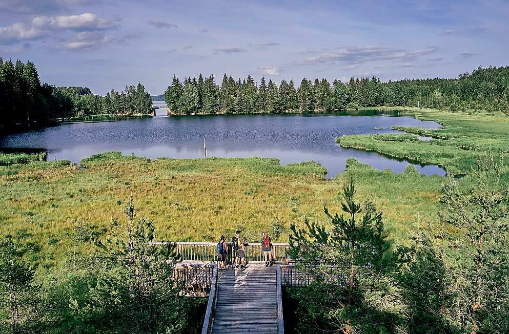 Wandermagie durch Böhmerwald, Hochmoor und Bayrische Au.