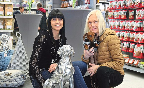 Alexandra Wiedenhofer kann auf zahlreiche Stammkunden stolz sein (li). Im Hundesalon werden Vierbeiner wieder auf Vordermann gebracht. Foto: Fischer Claudia