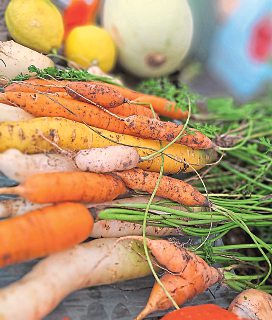 Besonders beliebt: Das Einlegen von Gemüsesorten. Foto: zvg