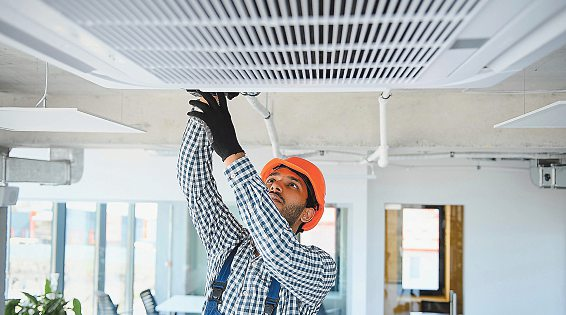 Foto: Serhii stock.adobe.com